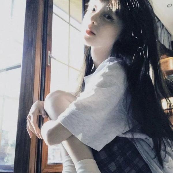 星际狗狗