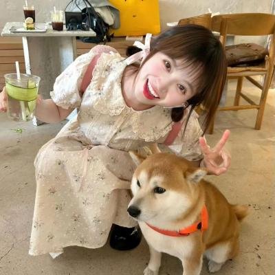 狐狸女士第二季